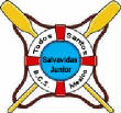 salvavidasjrlogo.jpg